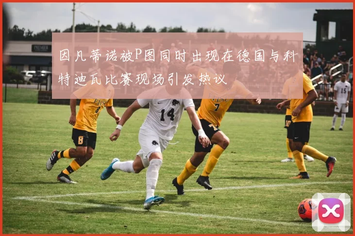 因凡蒂诺被P图同时出现在德国与科特迪瓦比赛现场引发热议